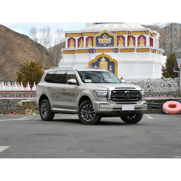 Gasoline Petrol Hybrid Cars 3.0T Sports Version Built 5 Seats Gold Tank 500 2023