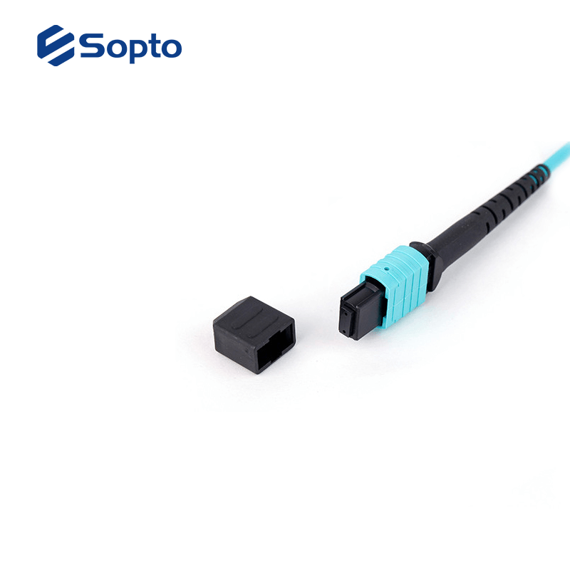 24 Cores MPO MTP Patch Cord Female A Type For CATV Video And Multimedia