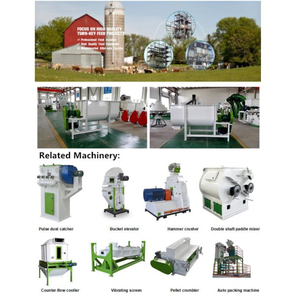 Horizontal Livestock Feed Mixer Machine Single Shaft Ribbon Type For Farm