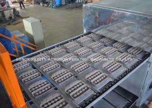China Paper Product Making Machine , Rotary Egg Tray Making Machine 30,18,12,6 Eggs wholesale