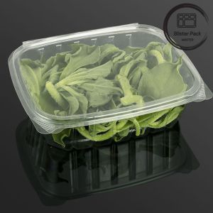 China Rectangular Clear Plastic Hinged Salad Container Convenient Food Packaging Solution wholesale