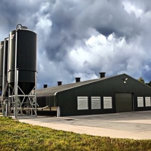 China Galvanized Steel Poultry House Framing Resists Rust In Humid Poultry Environments wholesale