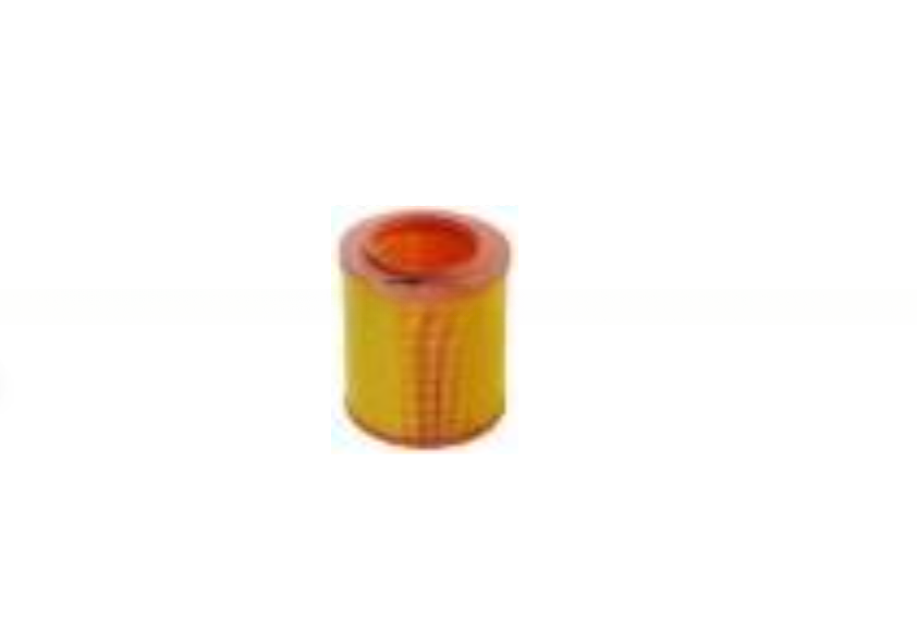 Renault C1145/4 7701039857 7701043709 C18121 7700957336 7701033713 C16113 7701034705 Air Filter Replacement
