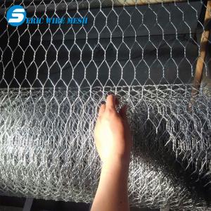 China Chicken Wire Netting, Hexagonal Wire Mesh wholesale