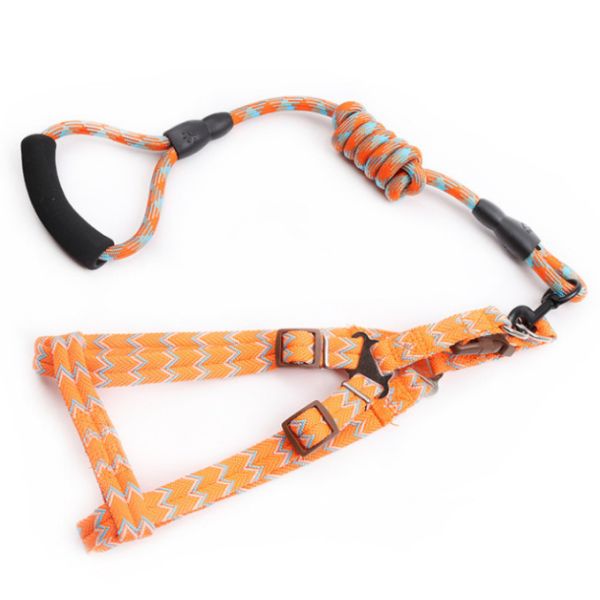 puppy harness and lead set
