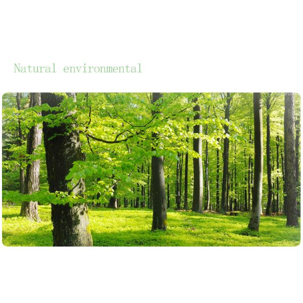 Cotton Women Sanitary Napkin Winged Disposable Period Pads 50ml / 80ml Absorption