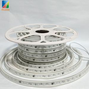 China Addressable Digital LED Strip Light Waterproof IP66 5050 RGB wholesale