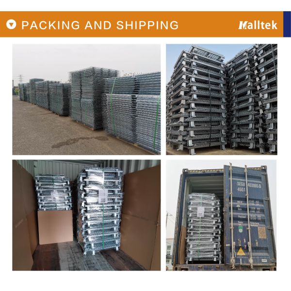 Wire Mesh Cage for Storage Container
