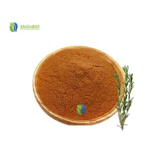 China Rosmarinus Leaf Extract 5%-95% Rosmarinic Acid wholesale