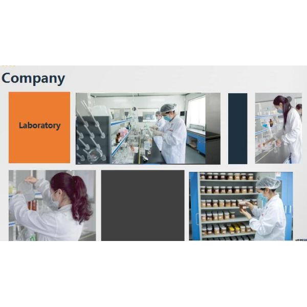 Natural Bee Honey Longan honey Pure Raw Honey for Direct Eat