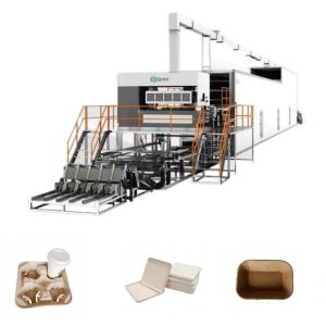 China Rotating Fruit Tray Making Machine High Precision Full Automatic on sale