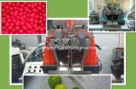 0.68" Paintball Making Machine with High Efficient encapsulatuion Formula