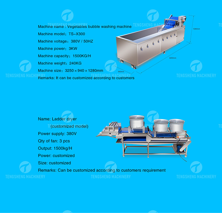 Automatic Fruit And Vegetable Processing Line Selection Washing Drying