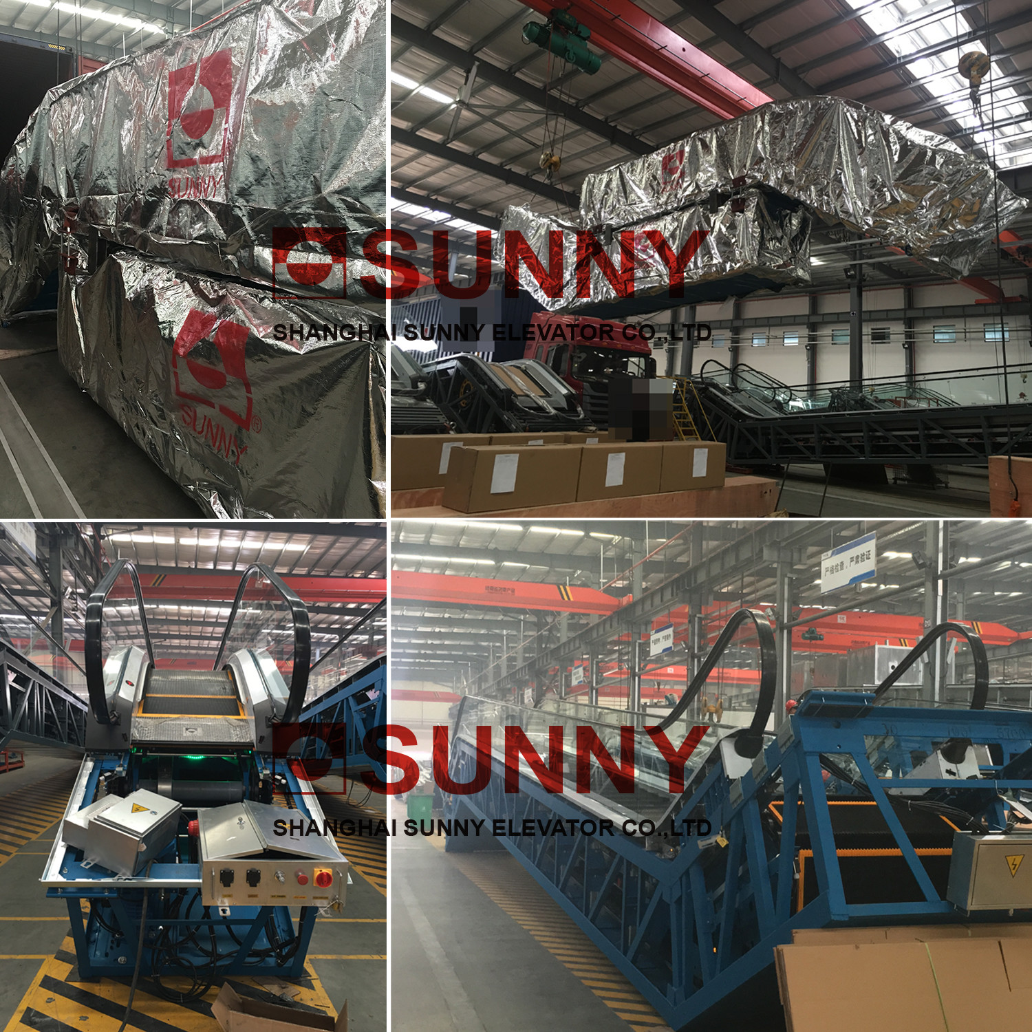Rise 6000mm Rubber Handrails Indoor VVVF Moving Walk Escalator With Aluminum Alloy Comb Board