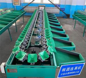 China fruit weight sorting machine,fruit weight classifier,apple sorting machine,orange sorter wholesale