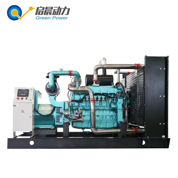 Quality biogas generator for biogas plant producing electricity for sale