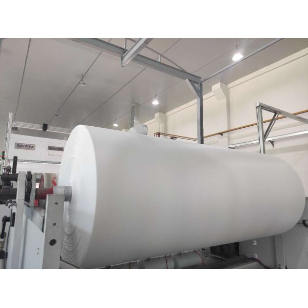 25% Viscose 75% Polyester Fibre Spunlace Nonwoven Germany TrüTzschler