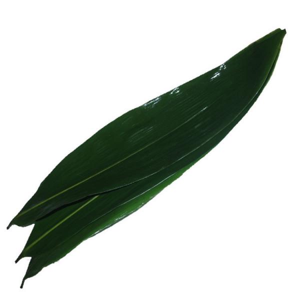 Quality Vacuum Packed 23cm Fresh Bamboo Leaves For Rice Dumplings for sale