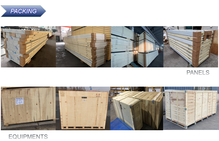 walk in freezer storage cold storage refrigeration blast freezer for fish