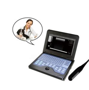 China CMS600P2-VET veterinary Portable B Ultrasound Diagnostic Instrument Notebook Type B Ultrasound Diagnostic Equipment wholesale