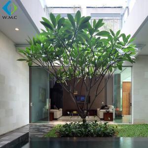 China 3.5m Artificial Plumeria Tree Without Flower , Customized Fake Green Trees wholesale