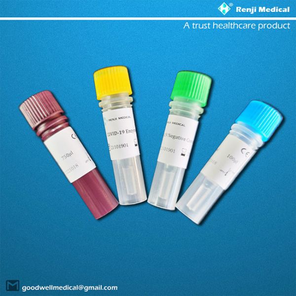 Nasal And Throat Swab Nucleic Acid Testing Kit With ISO13485 CE FDA Certification