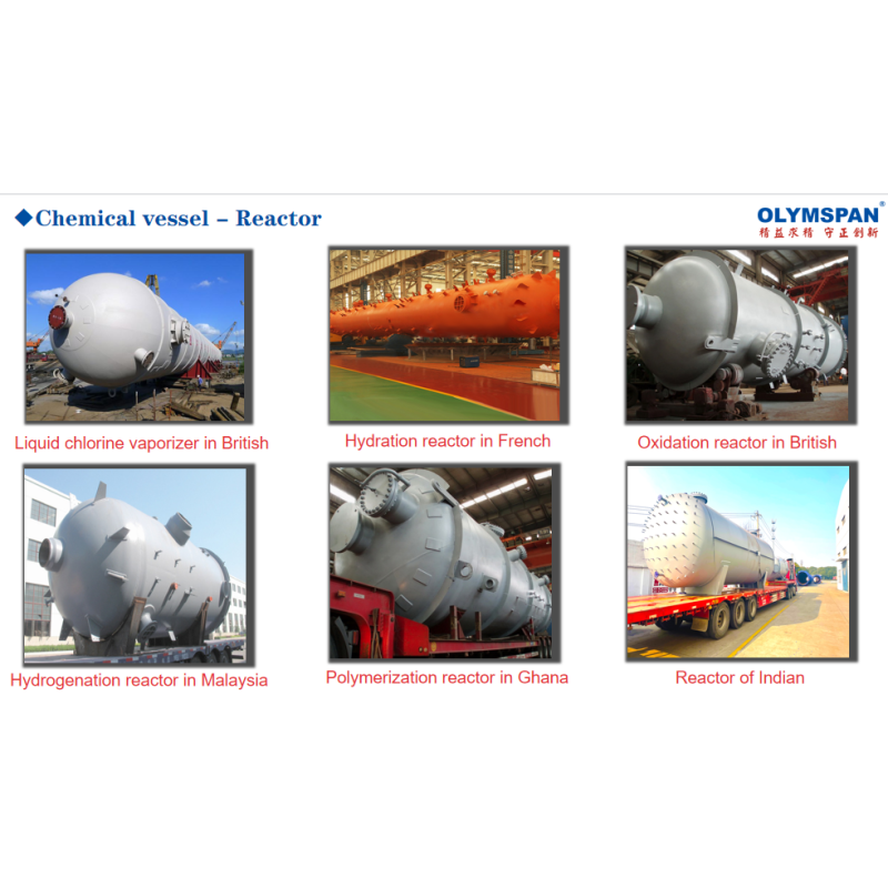 ASME Vertical Chemical Column Chemical Processing Equipment Multipurpose