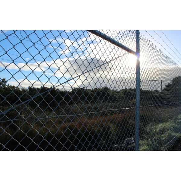 Galvanized Chain-link fence Mesh/Cyclone Fence Chain Mesh Black Chain Link Fence Cost