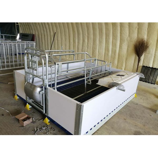 OEM ODM 304 Stainless Steel Farrowing Crates Swine Gestation Crates