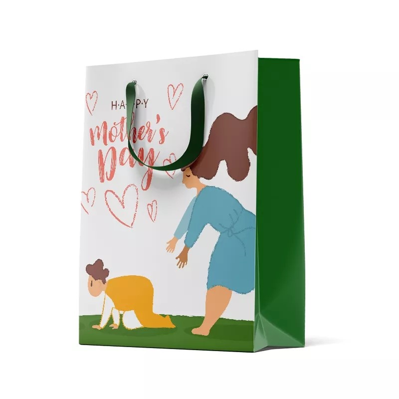 China Printed Luxury Paper Cookie Bags 350gsm 450gsm Shoe Paper Bag on sale