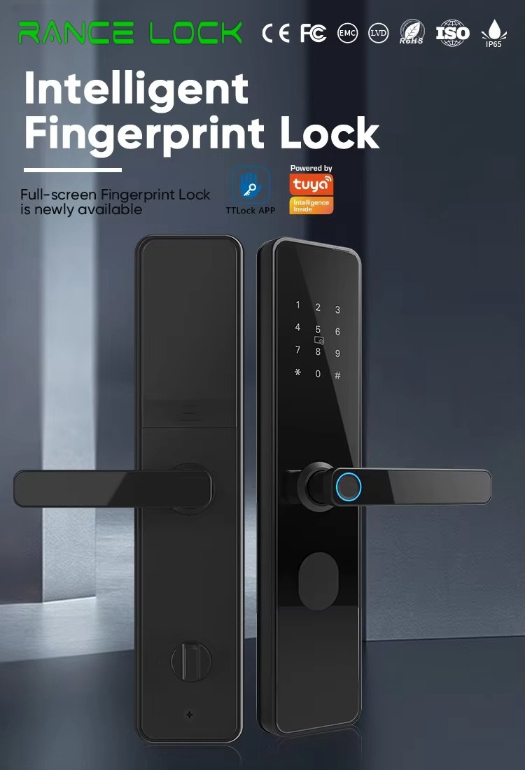 Smart Glass Door Lock with Tuya Bluetooth and Fingerprint Recognition