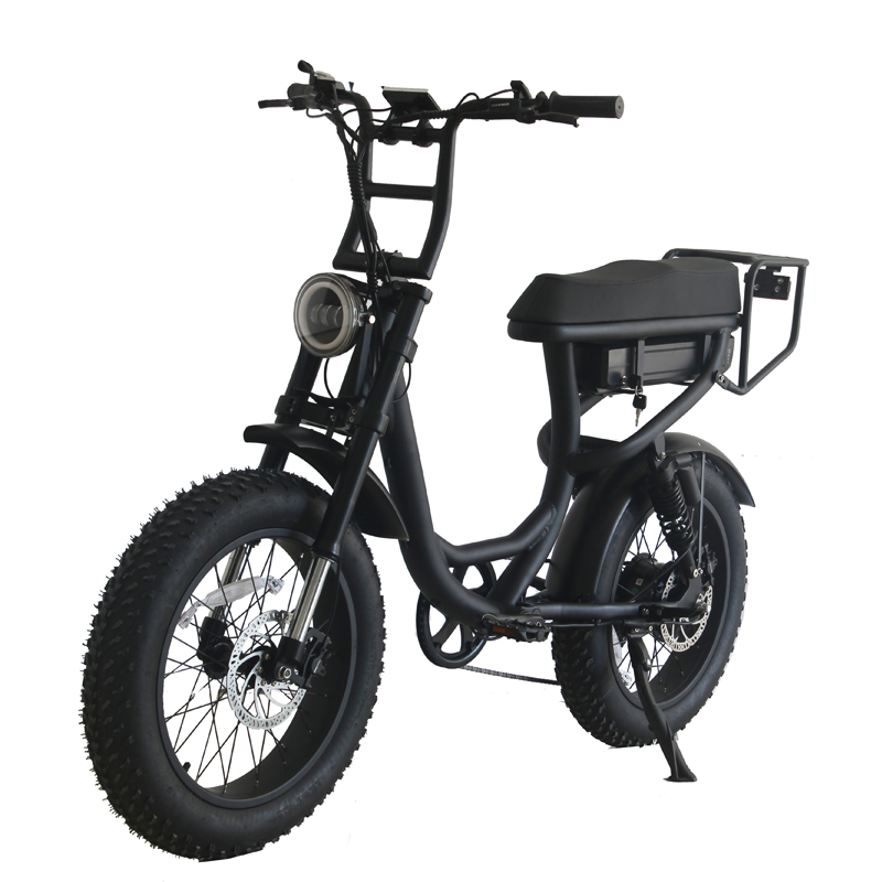 20inch Tire Electric Dirt Bike 1000w with Up Tube Battery Position and LCD Display
