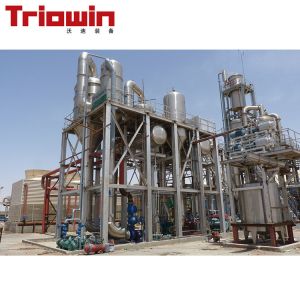 China automatic Date / Jujube Processing machine Fruit And Vegetable Processing Line wholesale