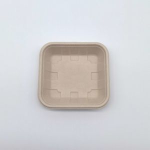 Buy cheap Compostable Biodegradable Bagasse Tableware Disposable Rectangular Shape from wholesalers
