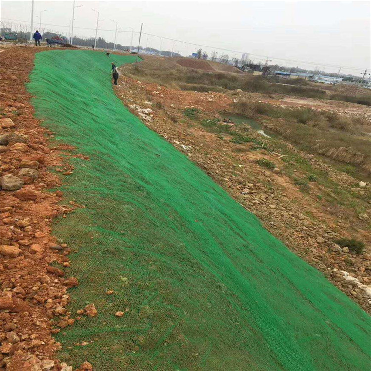 Modern Design 3D Geomat The Best Choice for Slope Protection and Grass Seed Growth