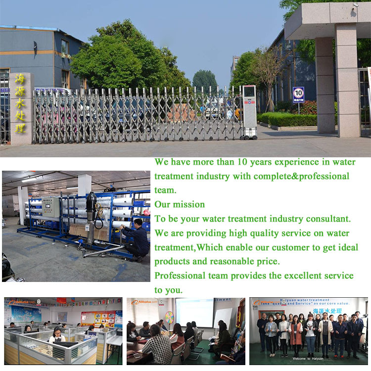 Deionized Water Equipment Water Deionizer Water Demineralization Machine Di Water Machine Deionized Water Machine