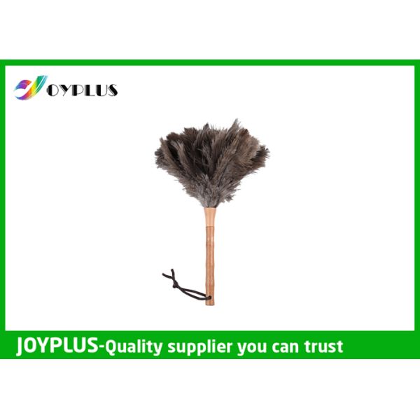Professional Home Cleaning Tool Ostrich Feather Duster Bamboo Handle