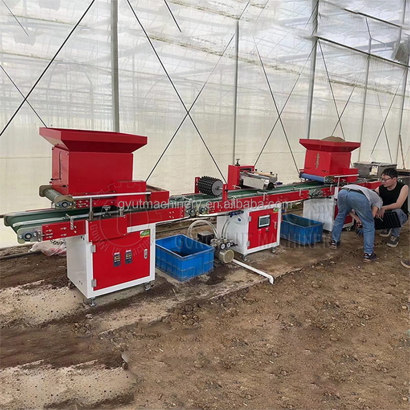Hydroponic Sponge Seed Planter Line for Seeding Cucumbers and Squash Automatically