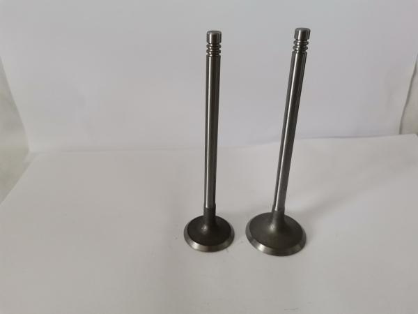 Quality Professional Car Diesel Engine Valve 4133EC , CHERY TIGGO 2.0 16V Inlet Valve for sale