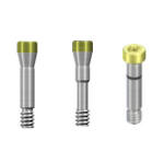 Dental Implant Titanium Screw Trox Compatible with ITI Straumann Bone Level®
