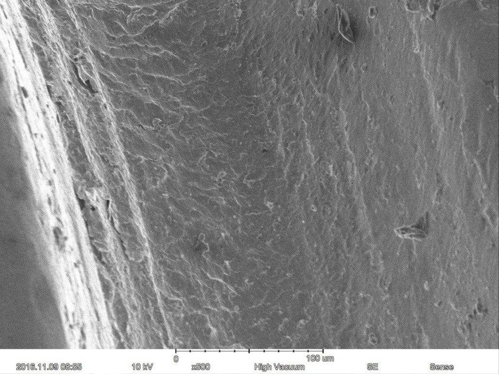 Magnification Max 60000X Scanning Electron Microscope 15nm Resolution Optional EDS