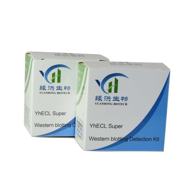 CMYK Hg h Injection Vial Box 25*25*60mm