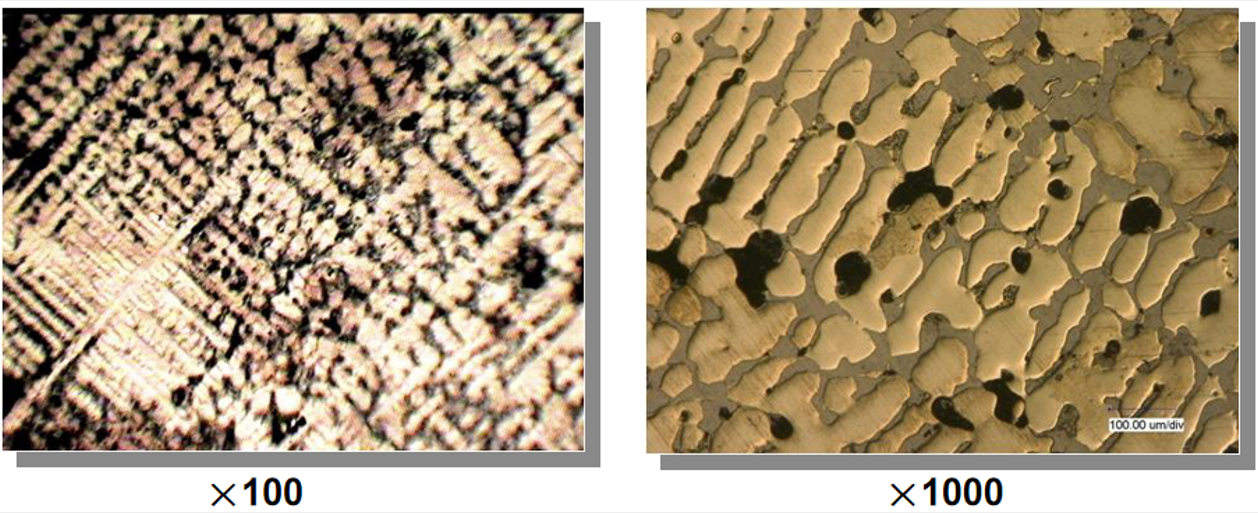 3/4 Inch Salt Free Water Softener for Whole House Scale Prevention