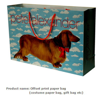 Low cost custom made design logo print handle paper carrier bag luxury paper gift bag,Luxury Paper Package Packaging Gif