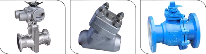 800psi Stainless Steel Threaded End Y Type Strainer Wye Strainer BSP NPT PT