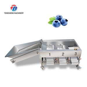 China 150KG 380V Lemon screening and grading machine stainless steel fruit sorting machine citrus fruit sorting machine on sale