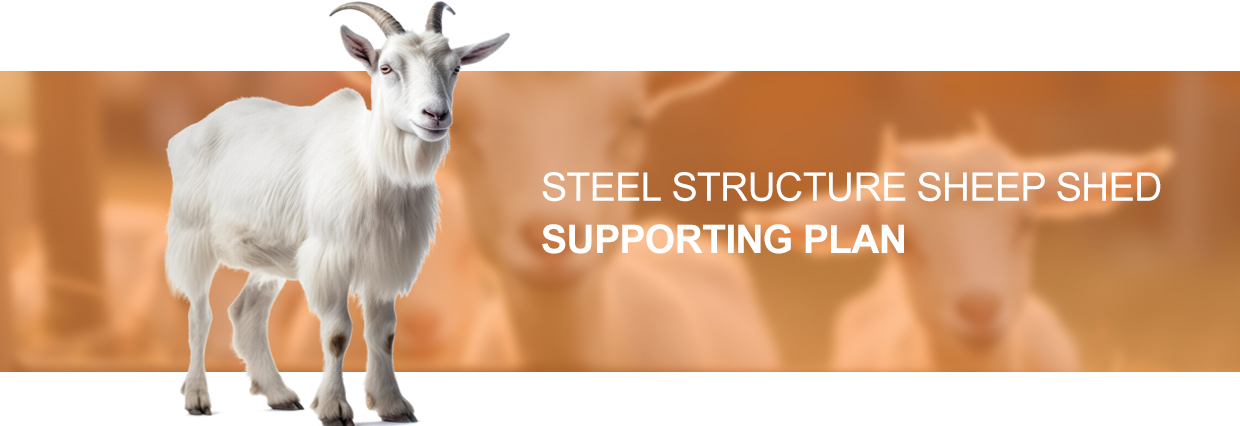 Sliding Door and Roller Door Design Q345 Metal Frame Goat/Sheep House for Cow/Cattle Farm