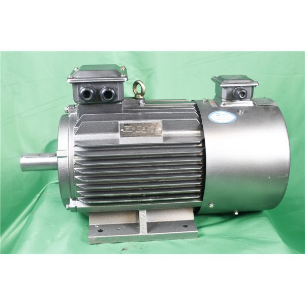 YVFE3 315S-2 110 kW 380V 2P Variable Frequency Motor 2975RPM