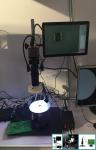 Screen Menu Laboratory Microscope Camera 4H * 4V Movable Direct Connect To
