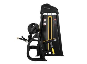 China Selectorized Biceps Curl &amp; Triceps with hot sale wholesale